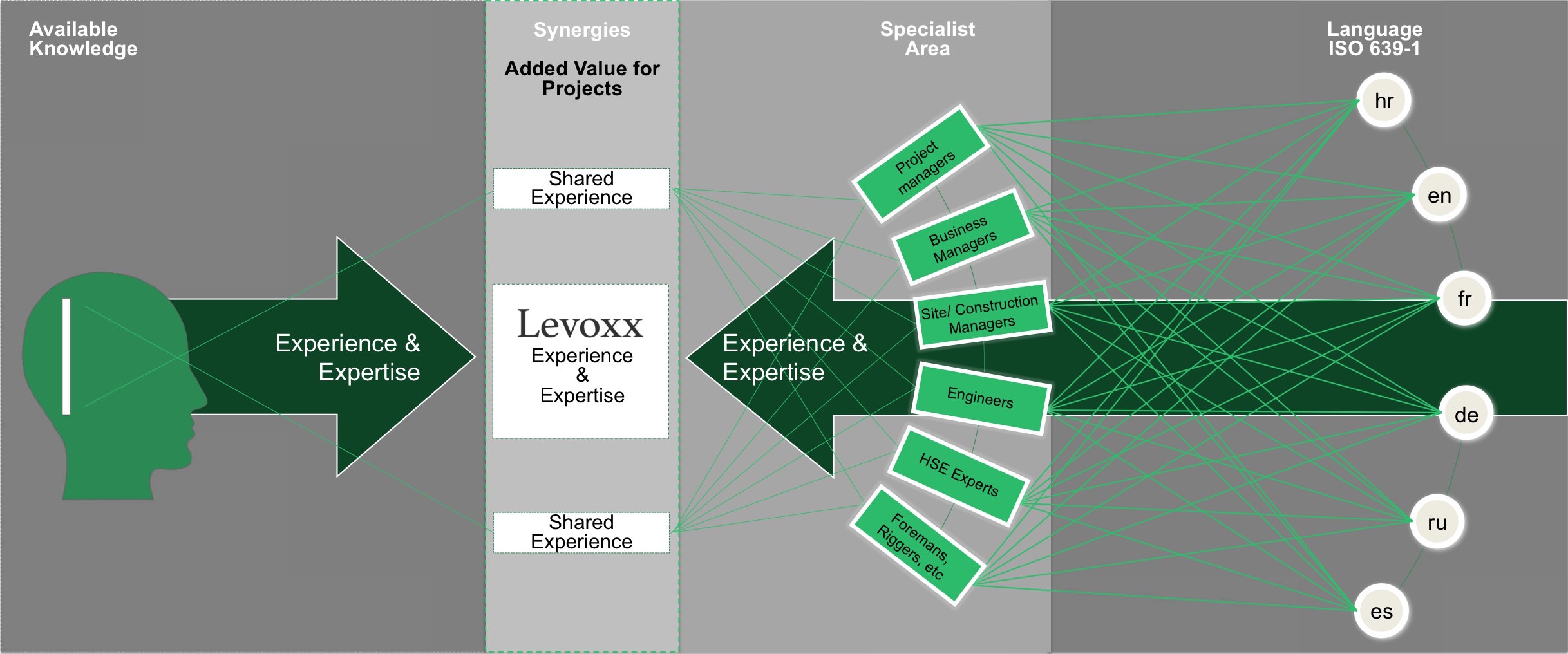 levoxx_knowledge_management_process_1